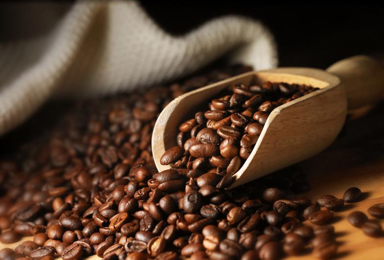 Types of Coffee Beans- Here is a Comprehensive Guide on Coffee Beans